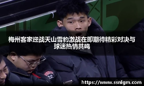 梅州客家迎战天山雪豹激战在即期待精彩对决与球迷热情共鸣